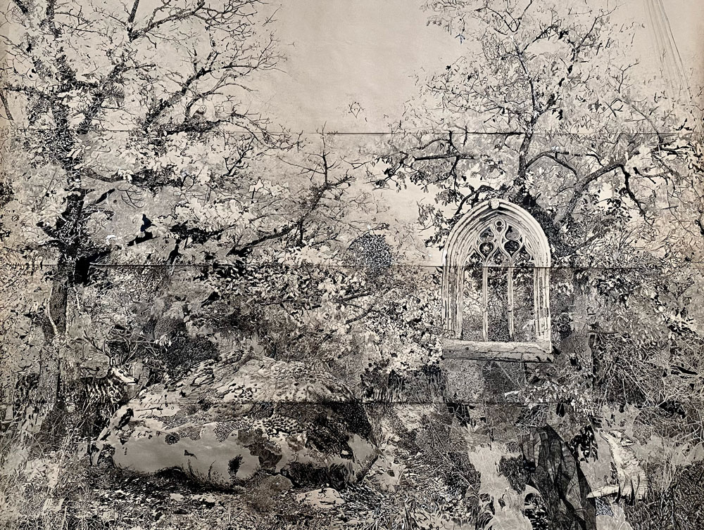 la-foret-notre-cathedrale la-foret-notre-cathedrale