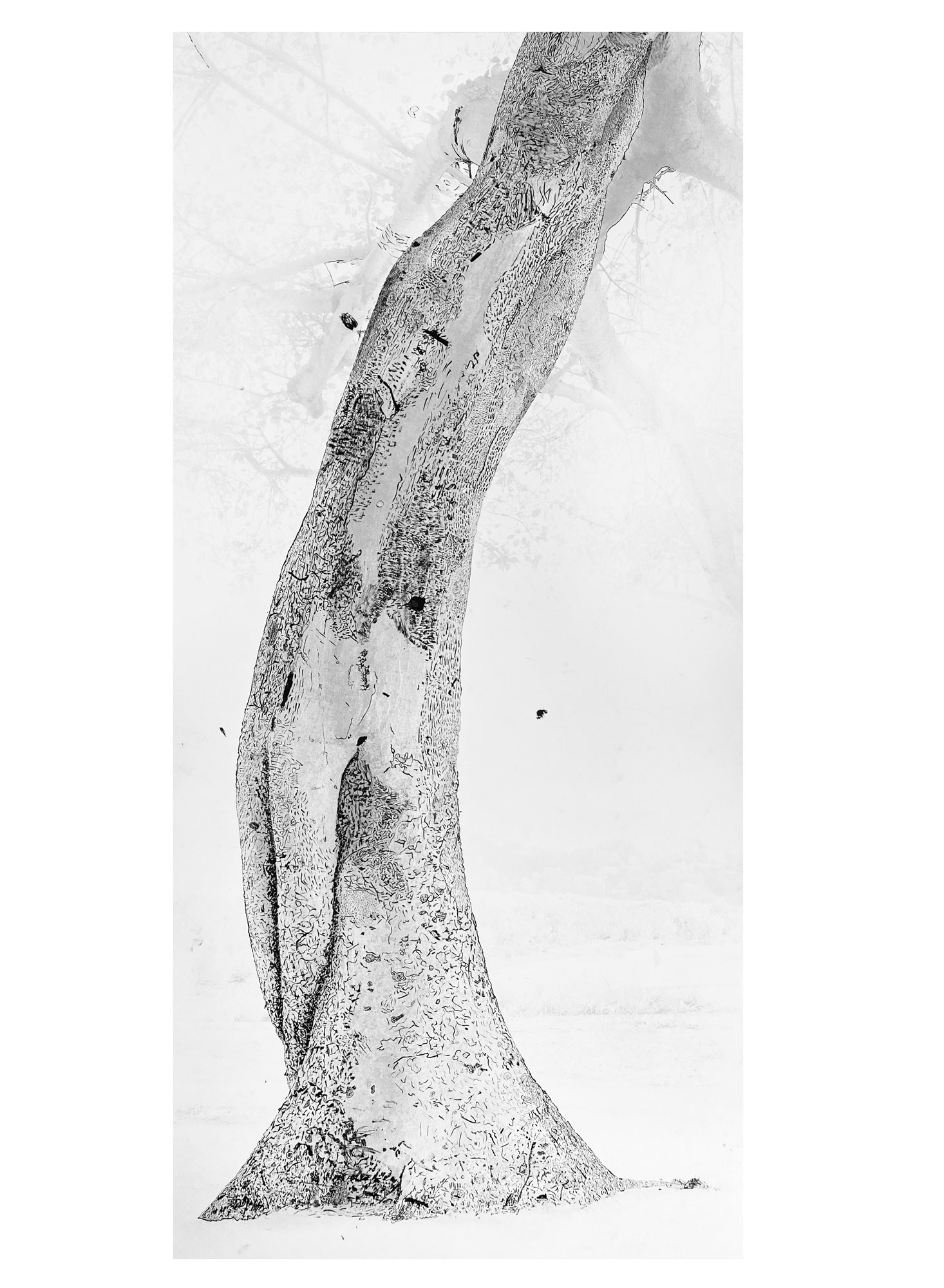 roots-2-encre roots-2-encre