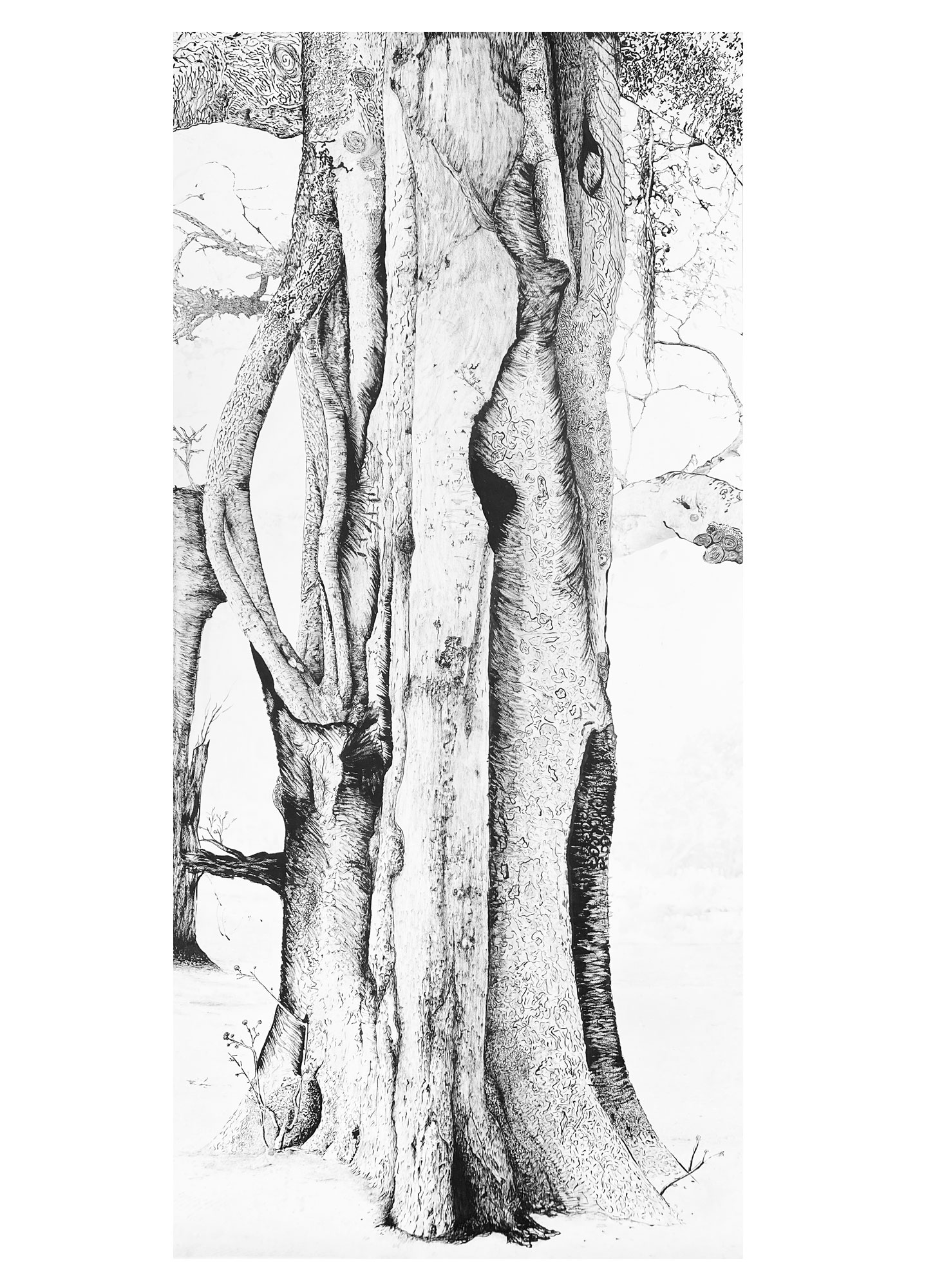 roots-3-encre roots-3-encre