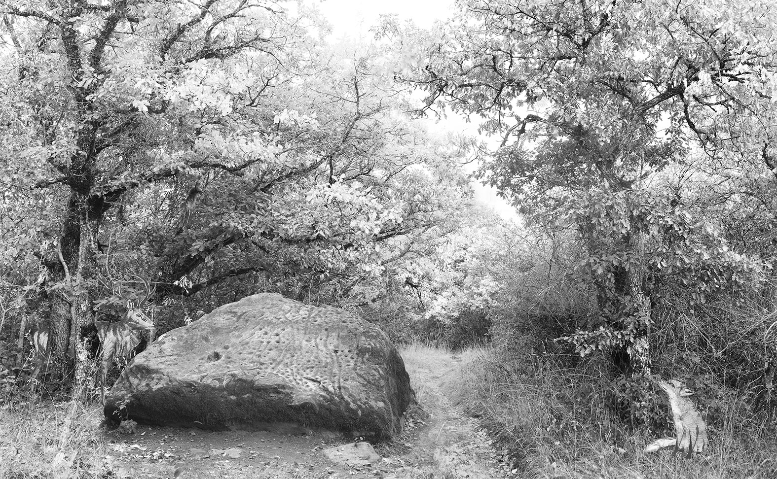 chene-247x400-sans-vitrail chene-247x400-sans-vitrail