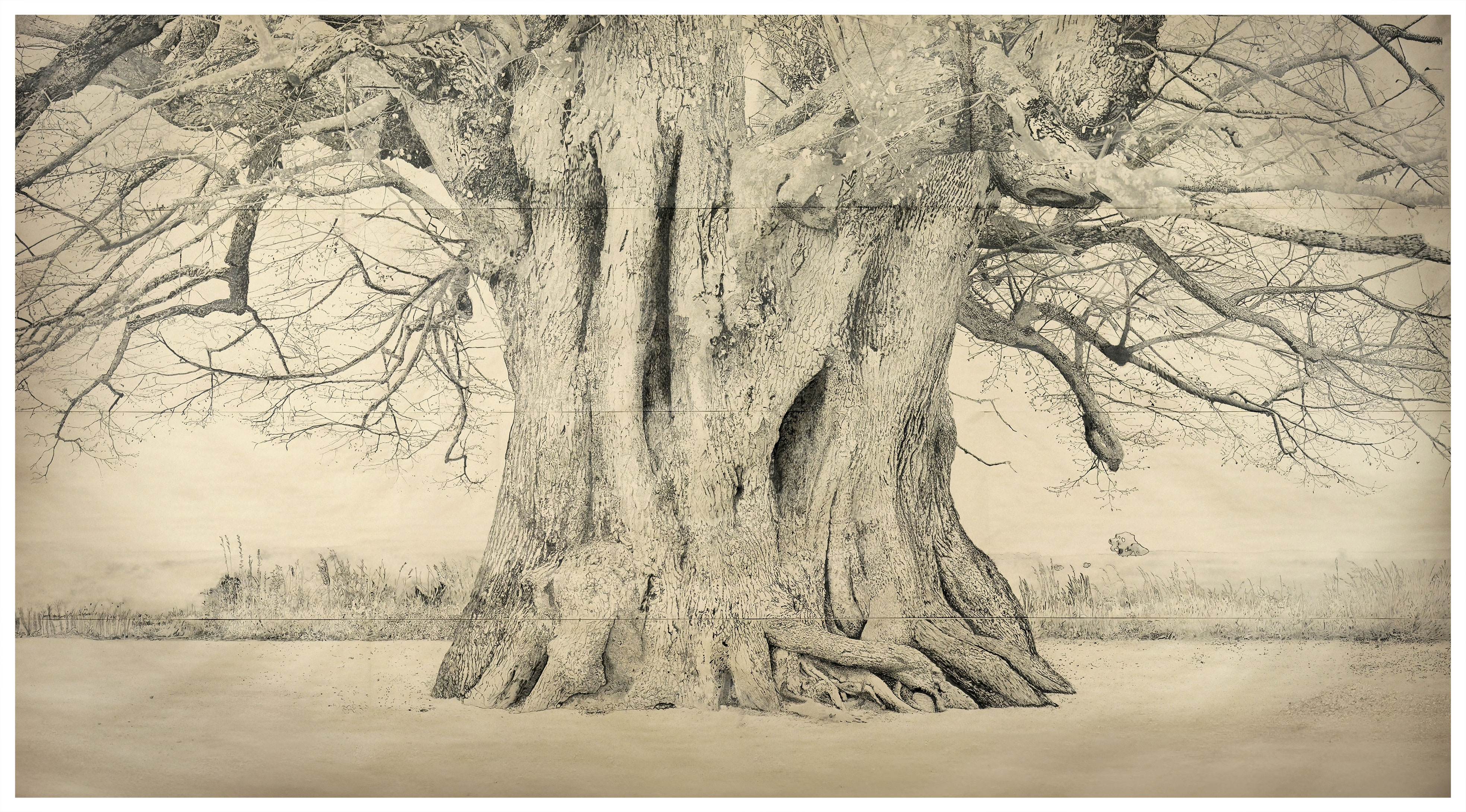 tilleul-encre-RFI-v2