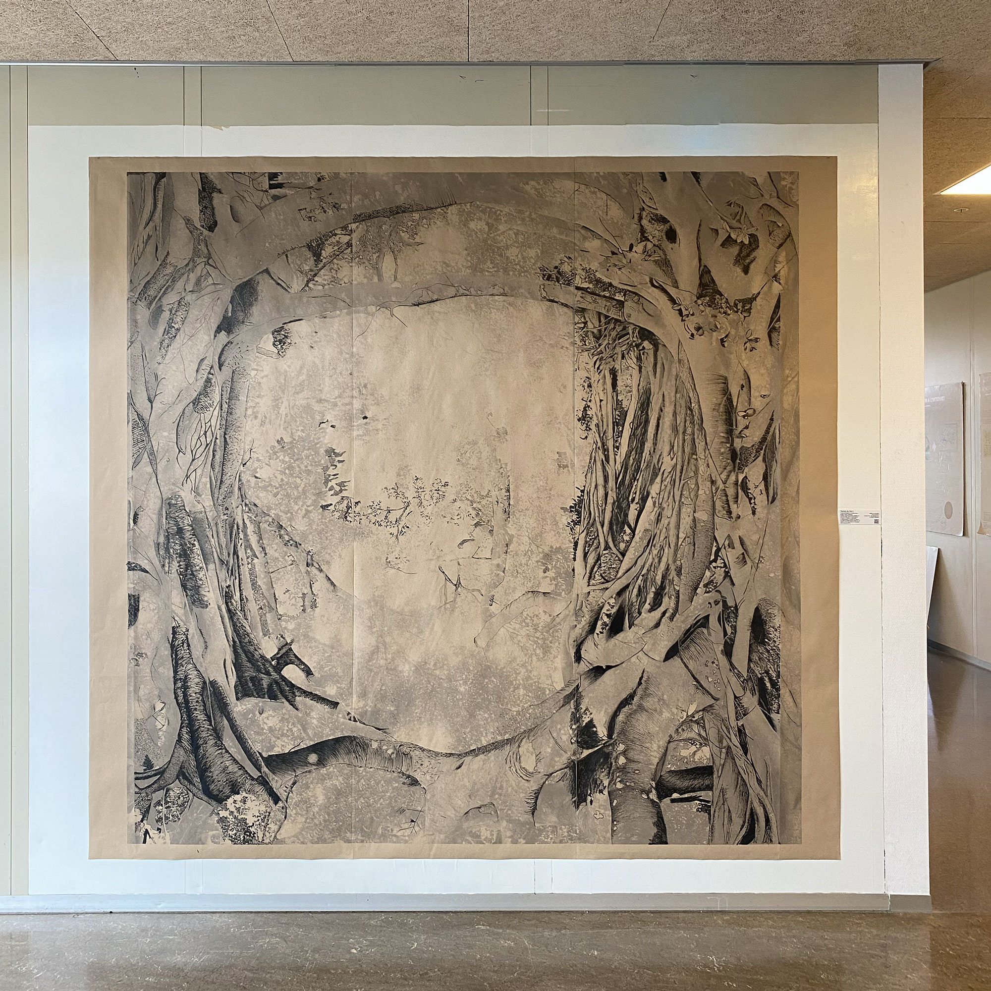 canopy-gymnase-3 canopy-gymnase-3